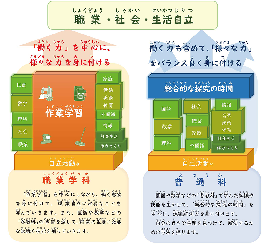 学科の比較